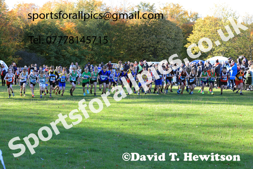 Boys Under-13s, 2025 Start Fitness NEHL, Lambton, County Durham. Photo: David T. Hewitson/Sports for All Pics